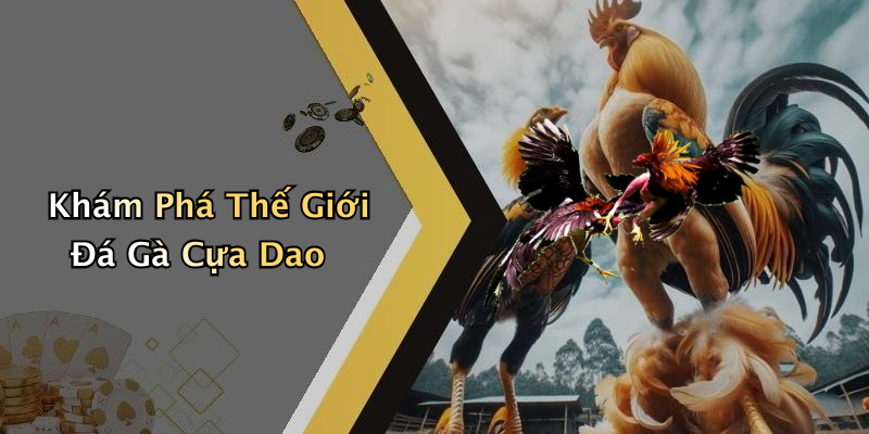 Khám Phá Thế Giới Đá Gà Cựa Dao