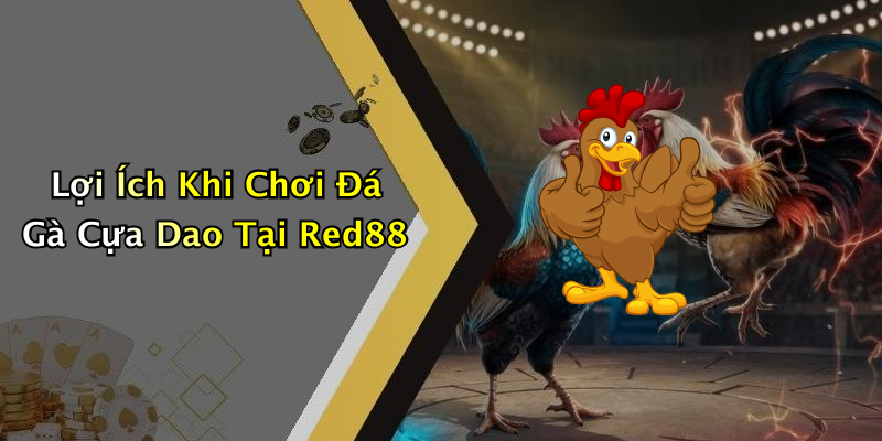 Lợi Ích Khi Chơi Đá Gà Cựa Dao Tại Red88